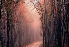 南美洲足球格局再变，昔日王座谁主沉浮？