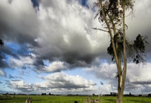 奇兵崛起，劲旅不敌神秘强队：揭秘颠覆者背后的惊人力量