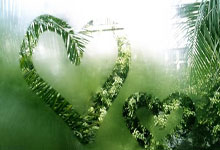 南美洲足球格局再变，昔日王座谁主沉浮？