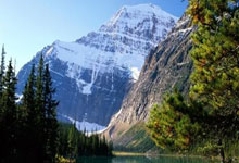 枪炮玫瑰绽放：阿森纳，一场征服的艺术