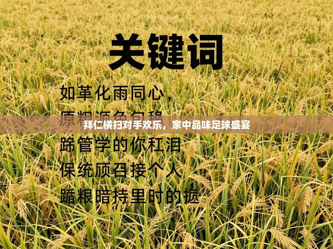 拜仁横扫对手欢乐，家中品味足球盛宴  第2张