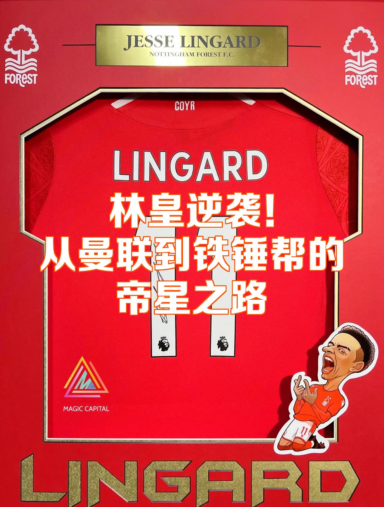 爱游戏-精彩绝伦逆袭传奇，选手卓绝技艺展现风采的简单介绍